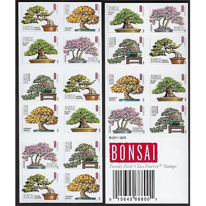 Bonsai  2012