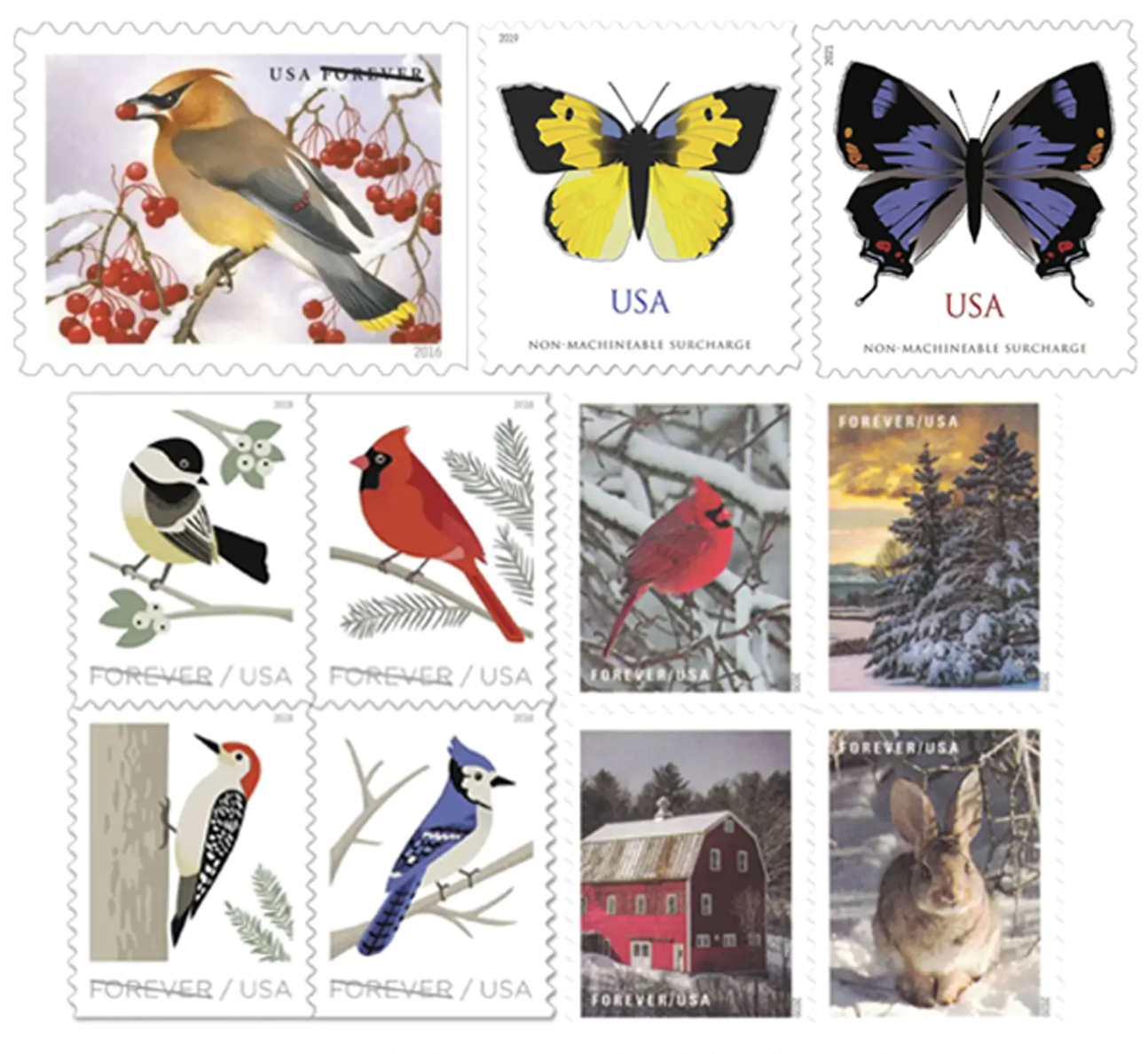 Flying animals Collection